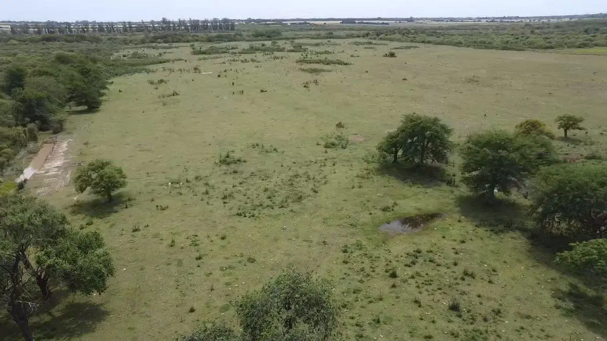 VENTA/CAMPO GANADERO/ ZONA RURAL/ PILAR/ SANTA FE 5