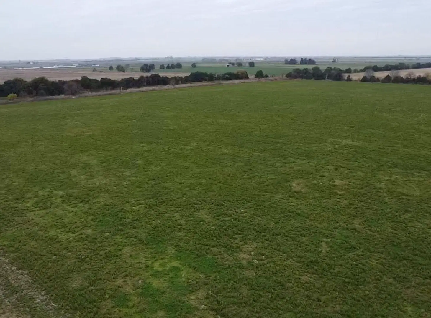 VENTA/ CAMPO/ AGRÍCOLA SUELO 1/ HUMBERTO PRIMO 2