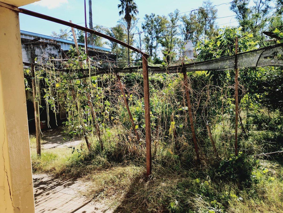Foto de VENTA / PROPIEDAD CON GRAN POTENCIAL / SUARDI, imagen 4