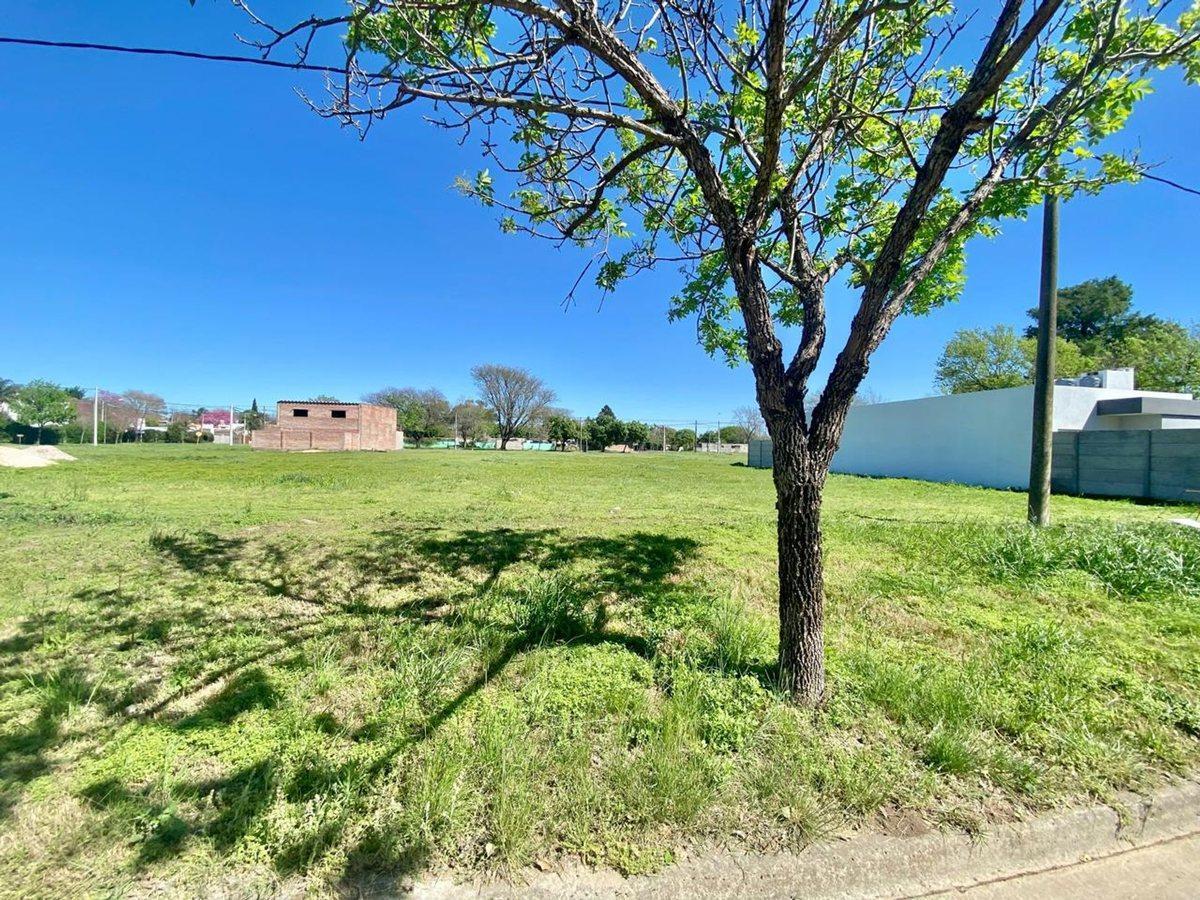 Foto de VENTA /LOTE/PRECIO FINANCIADO/ SECTOR ESTE/RAFAELA, imagen 5