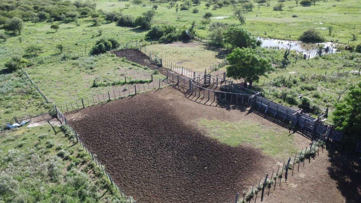 Foto de VENTA / CAMPO GANADERO 1385 HECTÁREAS / HUANQUEROS, imagen 5