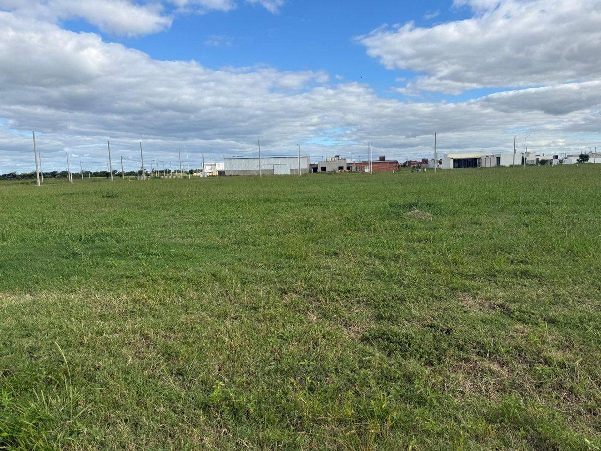 Foto de VENTA/LOTE/EL BOSQUE, imagen 2