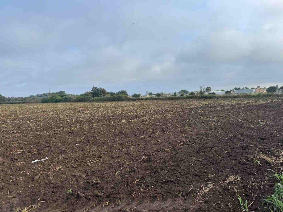 Foto de VENTA TERRENO 14Has PARA DESARROLLO URBANO, imagen 4