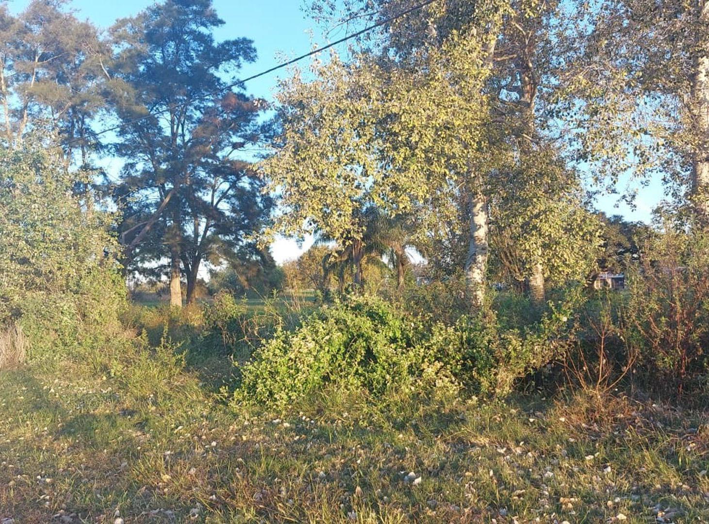 Foto de VENTA / LOTE / NUEVO TORINO / OPORTUNIDAD, imagen 2