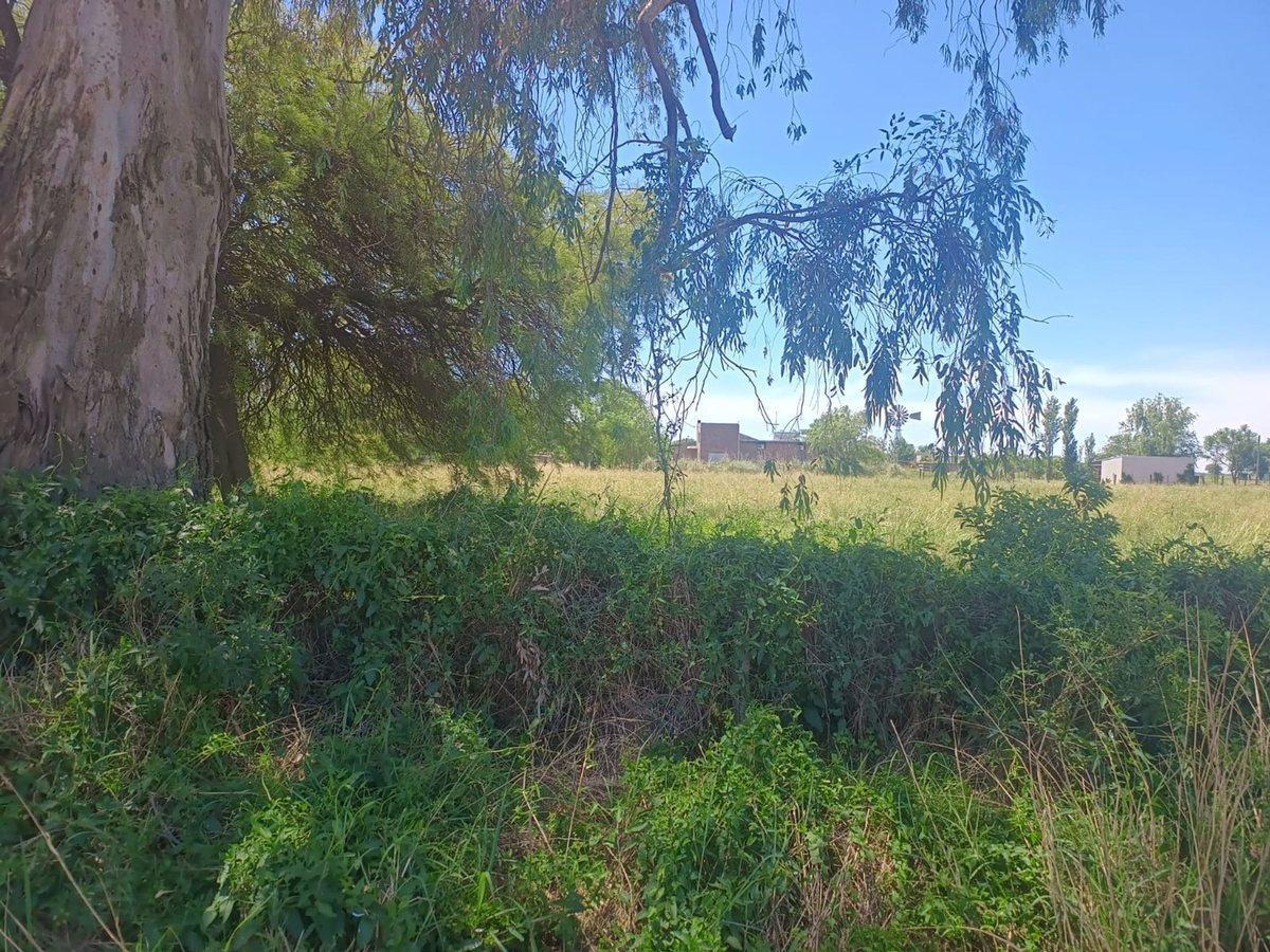 Foto de VENTA / FRACCION CAMPO / ALDAO, imagen 3