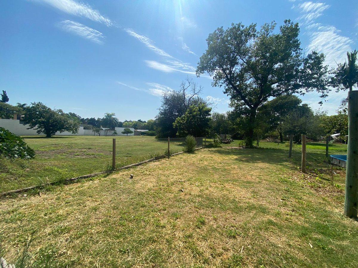 Foto de VENTA/AMPLIO LOTE/PASEO DEL ESTE/FINANCIACION, imagen 2