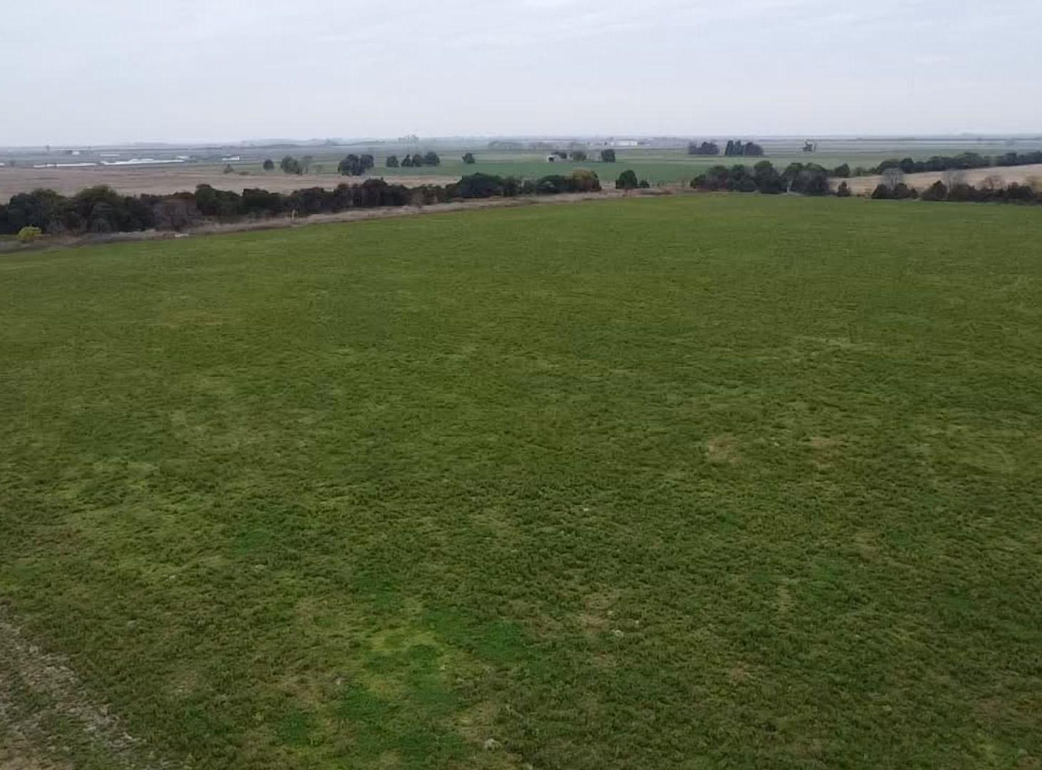 Foto de VENTA/ CAMPO/ AGRÍCOLA SUELO 1/ HUMBERTO PRIMO, imagen 3
