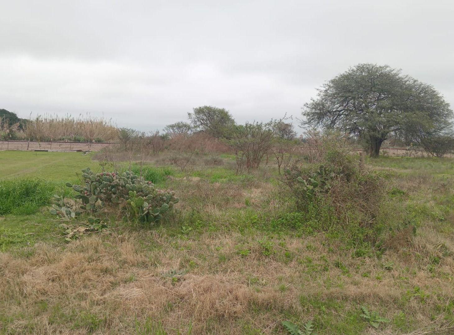 Foto de VENTA / TERRENO 478 MT2 / SA PEREIRA / SANTA FE, imagen 3