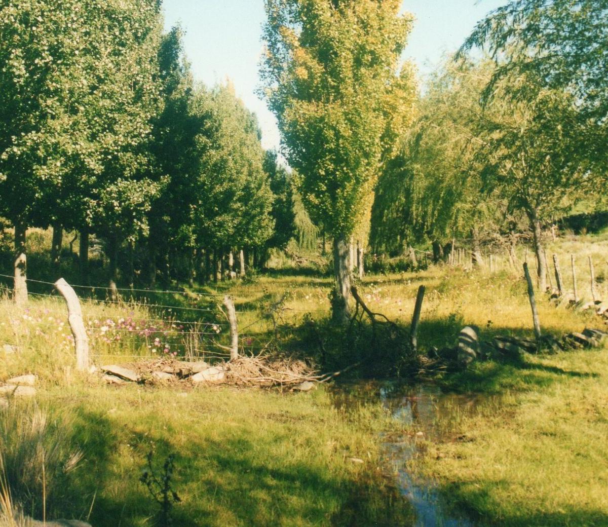 Campo en Cordoba Mina Clavero 2