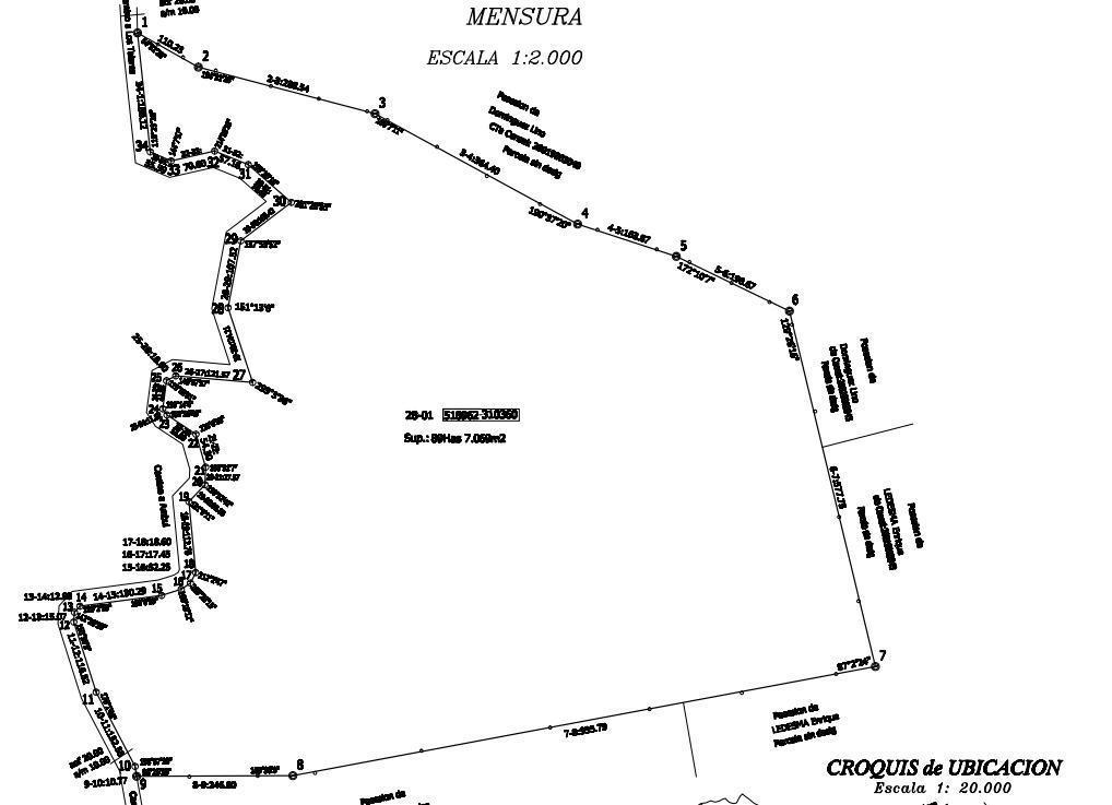 Plano 1