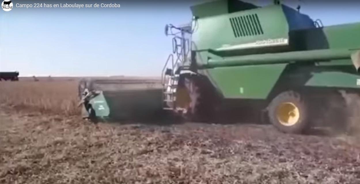 Foto de Campo 100% agrícola (Laboulaye), imagen 5