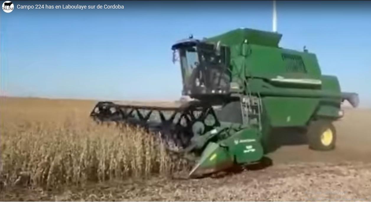 Foto de Campo 100% agrícola (Laboulaye), imagen 1
