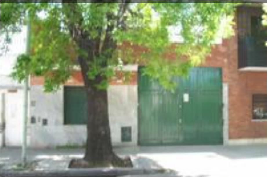 Excelente Lote 8.66 X 41 5