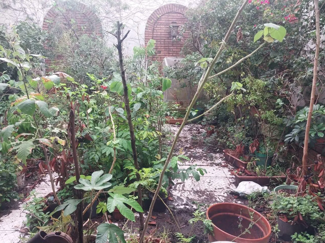 Terreno VENTA Coghlan 4