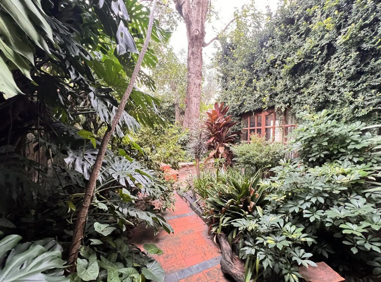 Casa en Coghlan 5