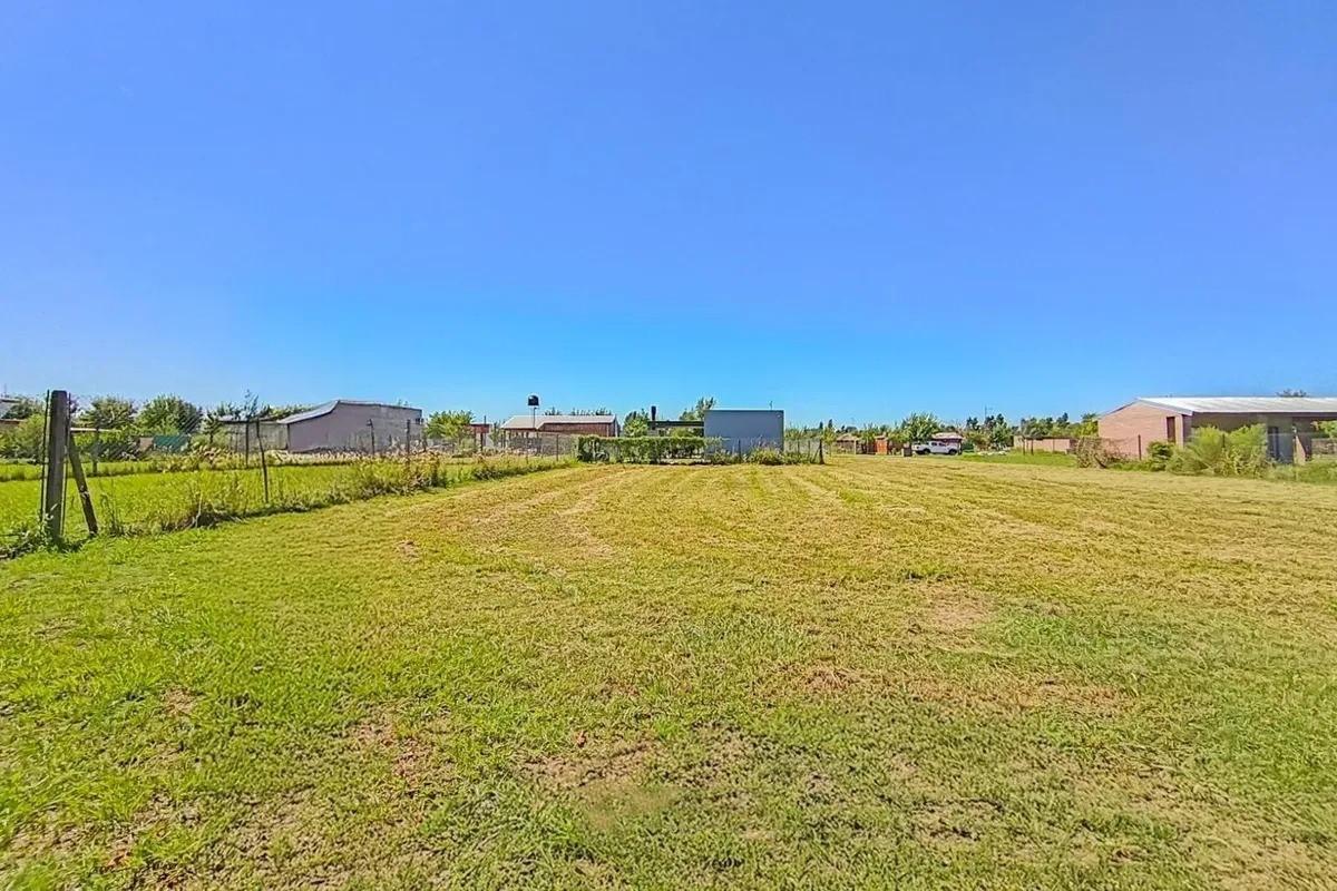 Foto de Terreno en Andino, imagen 3