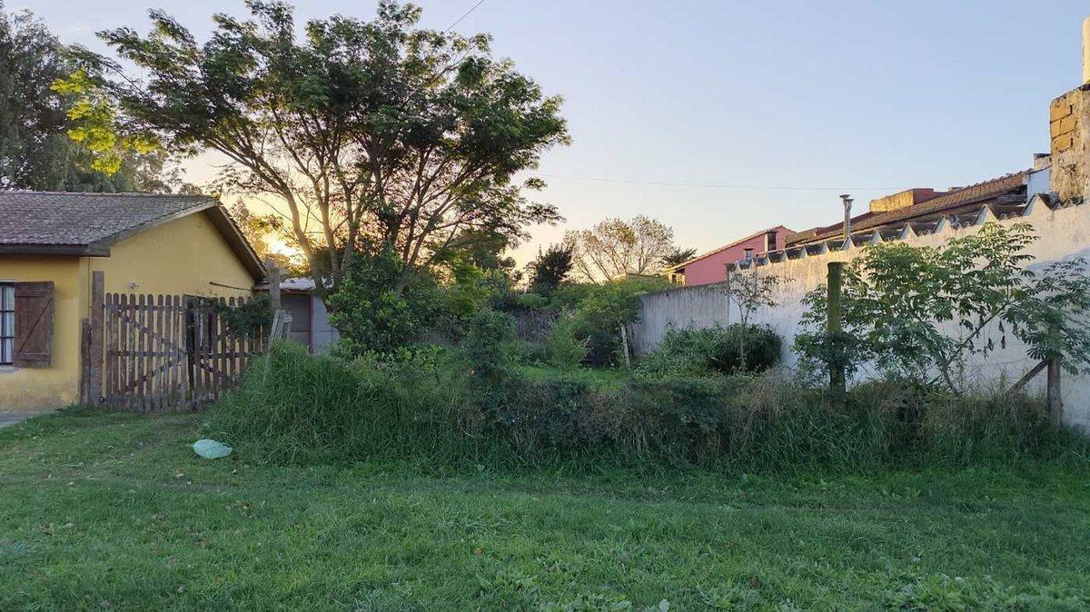 Venta Terreno 230 m² Los Tilos 3