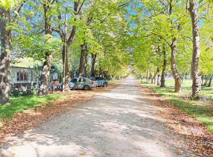 Venta Casa con Pileta Miramar 2