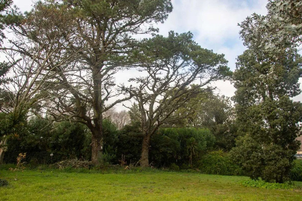 VENTA LOTE EN COLINA ALEGRE 5