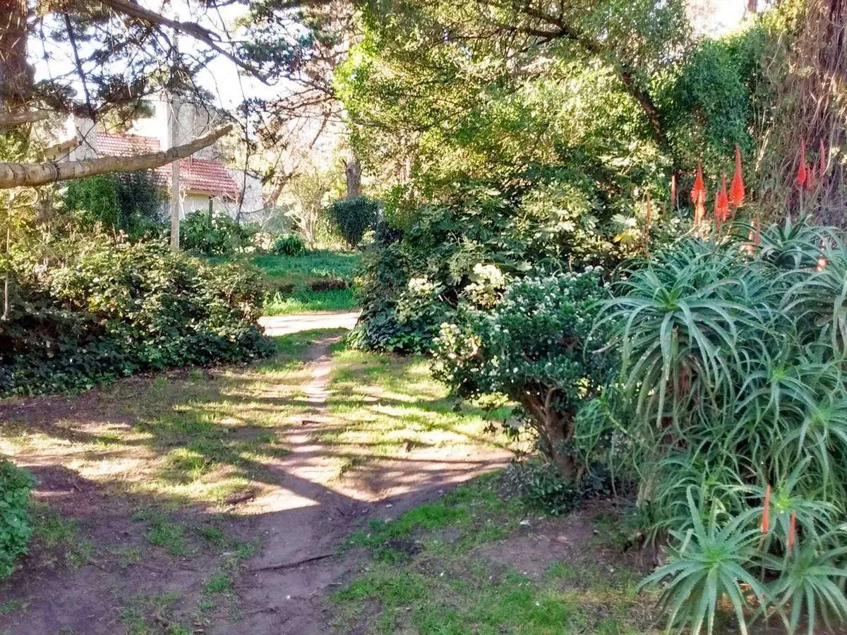 VENTA 2 LOTES EN BOSQUE PERALTA RAMOS 5