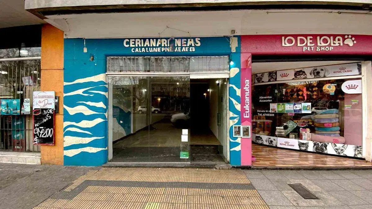 VENTA LOCAL ZONA LURO Y SAN JUAN | NUEVA TERMINAL 3