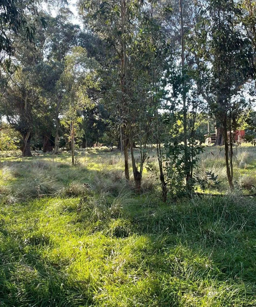 VENTA LOTE PARQUE BRISTOL MIRAMAR 2