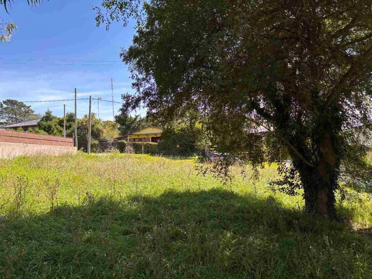 VENTA LOTE 600 MTS2  SIERRA DE LOS PADRES 2