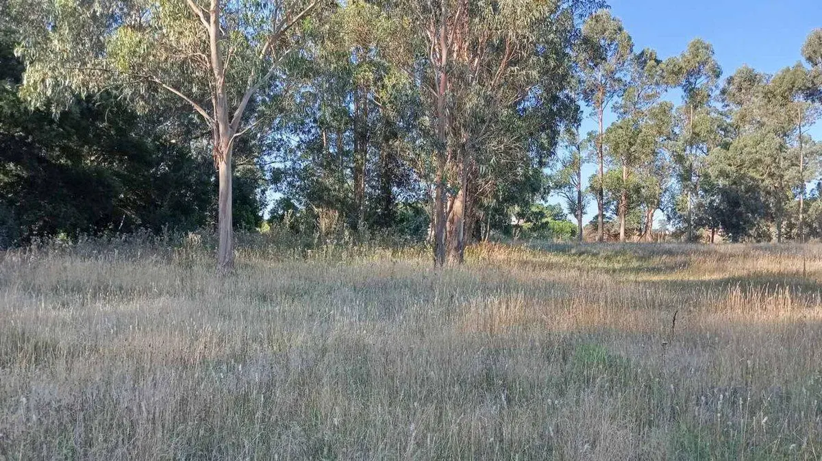 VENTA IMPORTANTE FRACCIÓN DE TERRENO EN MIRAMAR 4