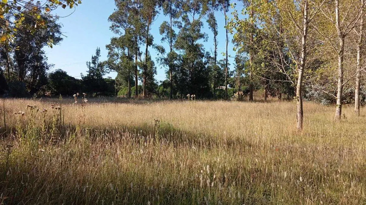 VENTA IMPORTANTE FRACCIÓN DE TERRENO EN MIRAMAR 5