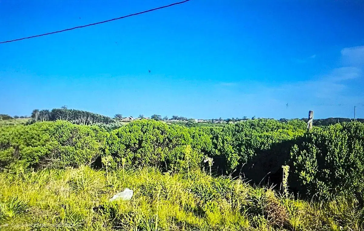 VENTA LOTE SAN EDUARDO DEL MAR OPORTUNIDAD 5