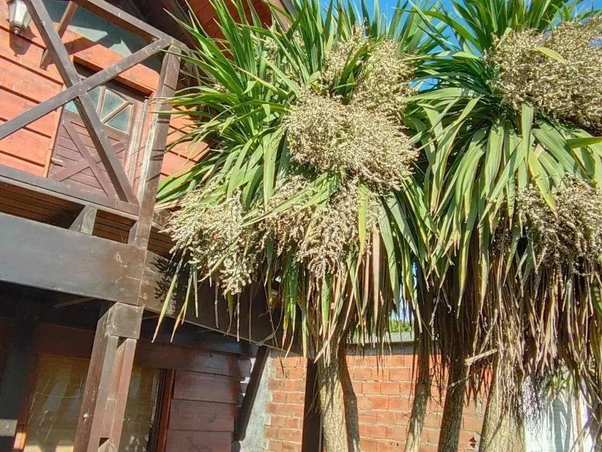 Venta Cabaña Santa Elena con Pileta 2