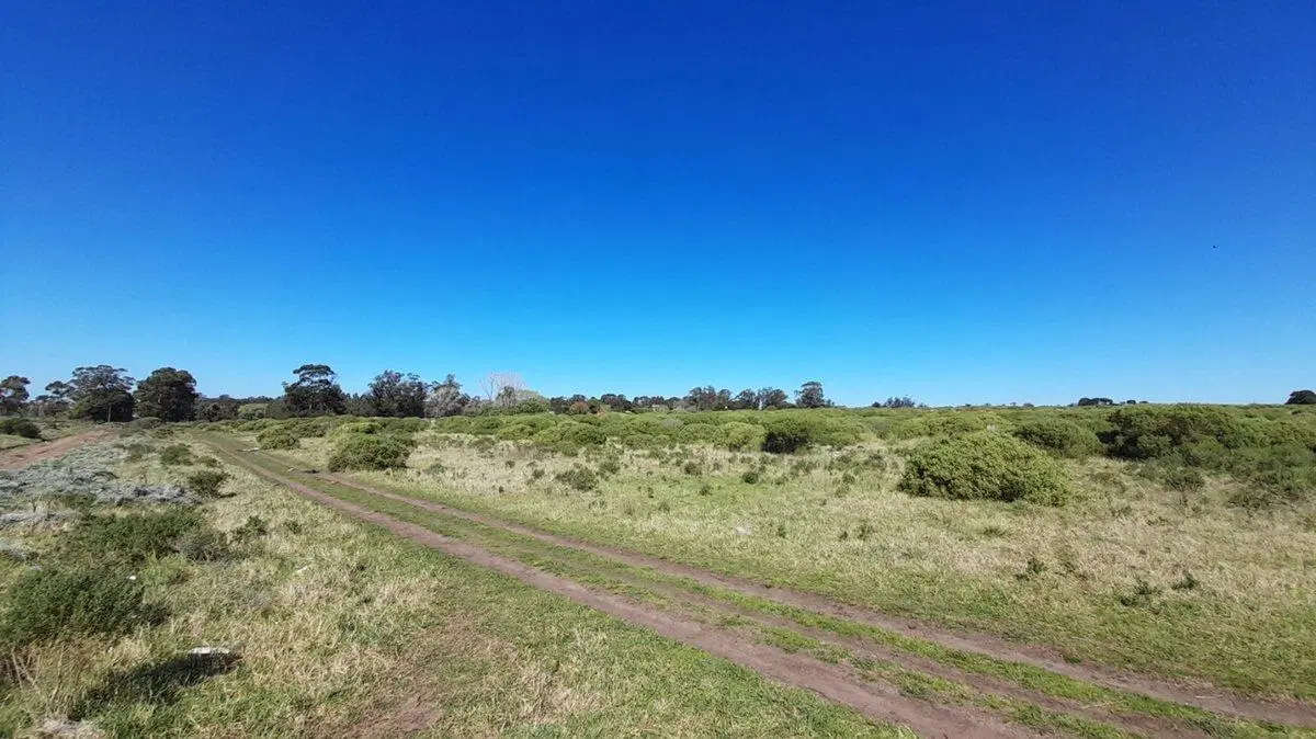 VENTA LOTE 45.000m2 ZONA SUR MAR DEL PLATA 5