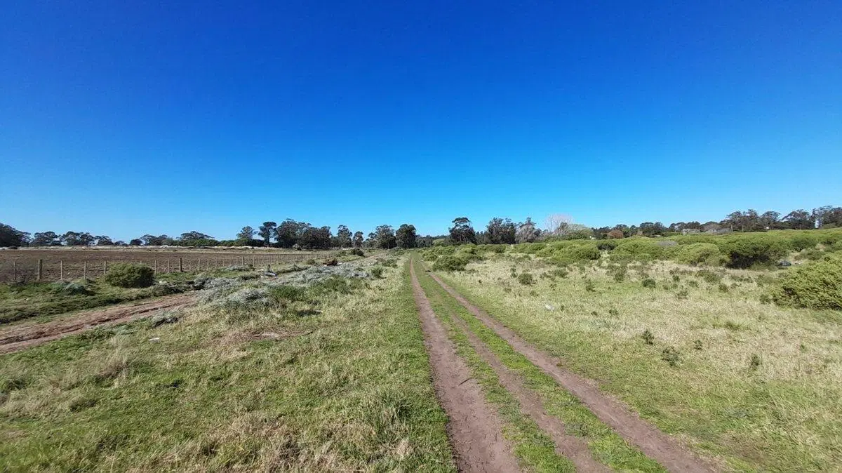 VENTA LOTE 45.000m2 ZONA SUR MAR DEL PLATA 4