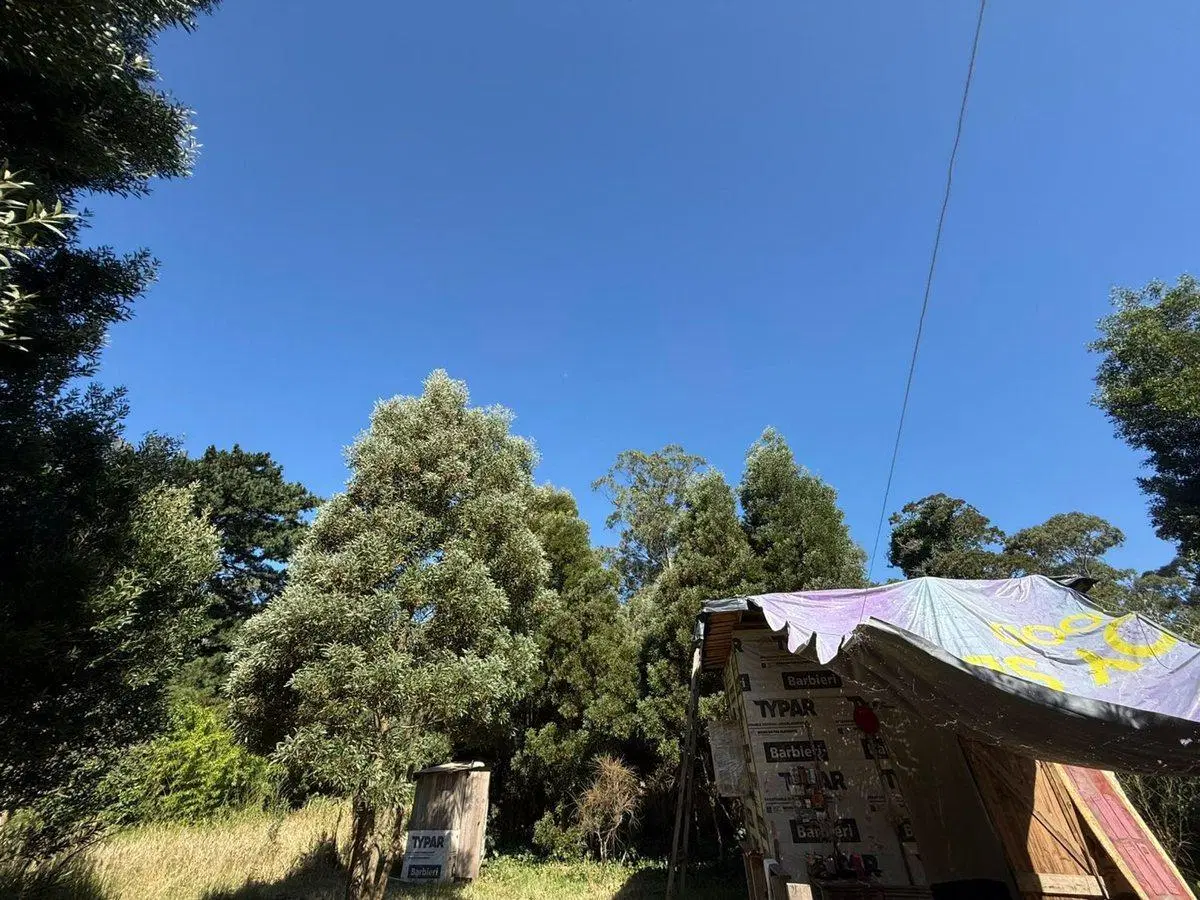 Venta Lote aprox800m2Barrio Parque Peña,Cedro Azul 2