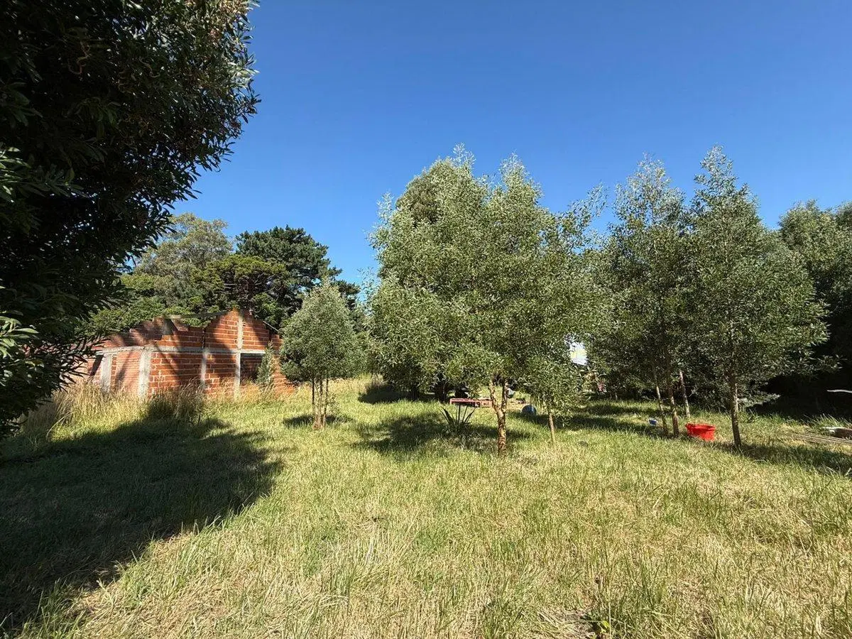 Venta Lote aprox800m2Barrio Parque Peña,Cedro Azul 4