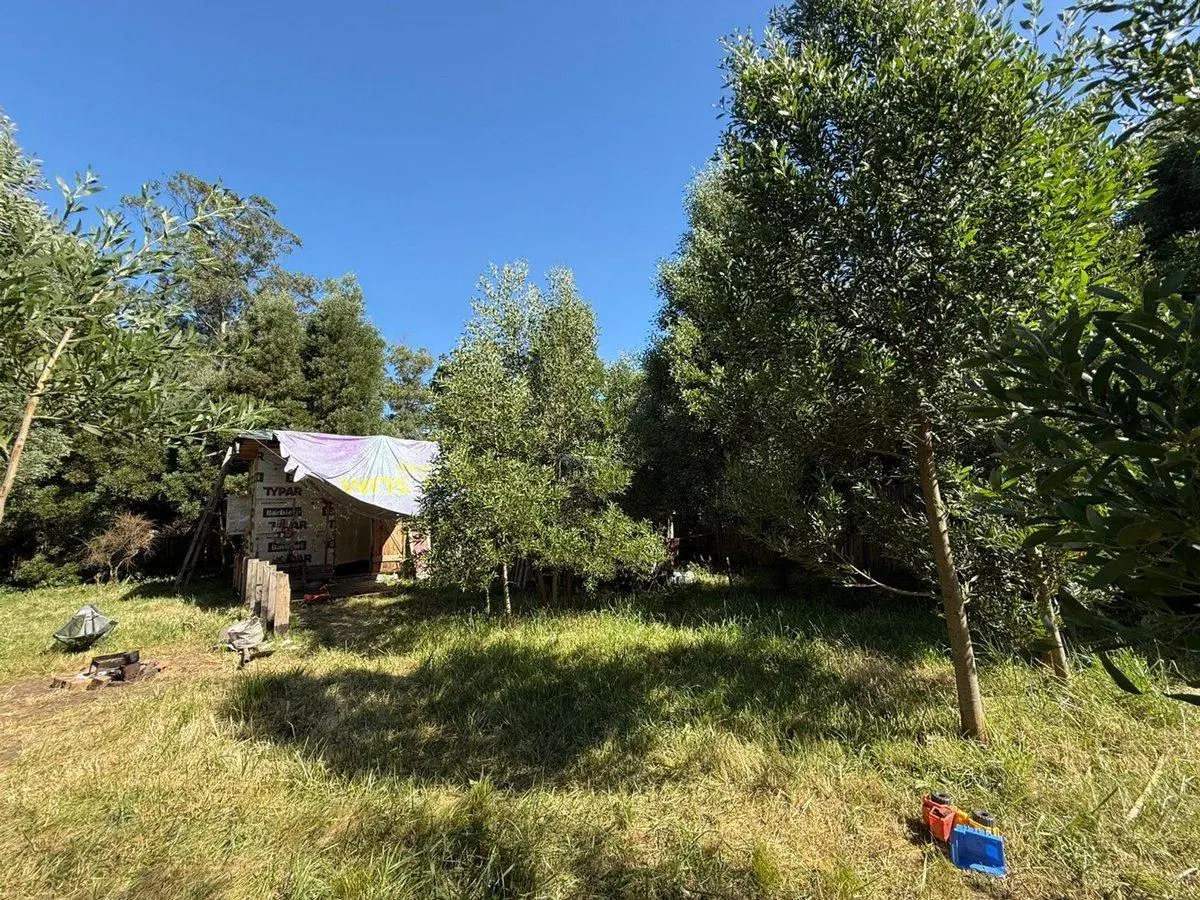 Venta Lote aprox800m2Barrio Parque Peña,Cedro Azul 8