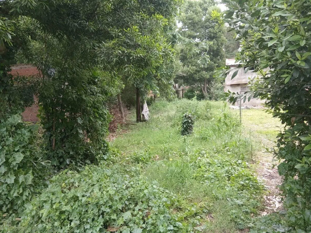 VENTA LOTE LAS DALIAS 426 M2 4