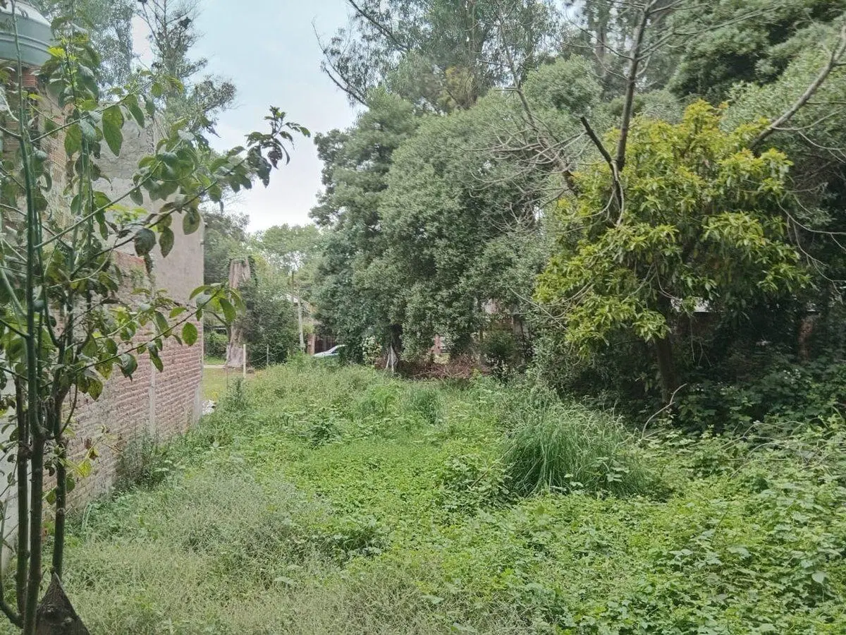 VENTA LOTE LAS DALIAS 426 M2 5