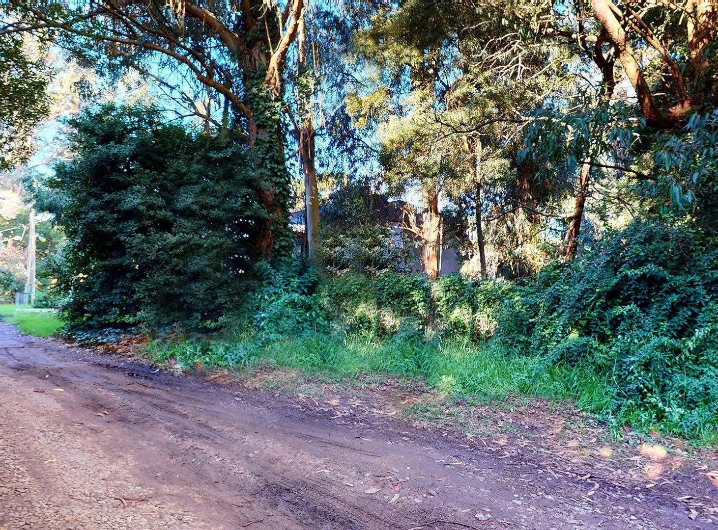 VENTA DOS lotes en Bosque Peralta Ramos y casa 2
