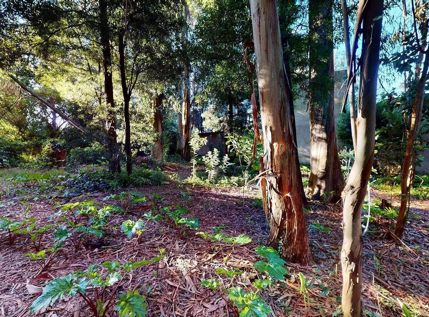 VENTA DOS lotes en Bosque Peralta Ramos y casa 3