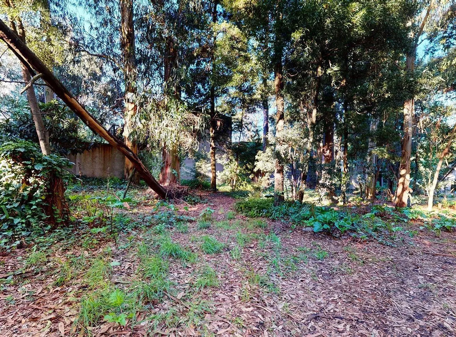 VENTA DOS lotes en Bosque Peralta Ramos y casa 4