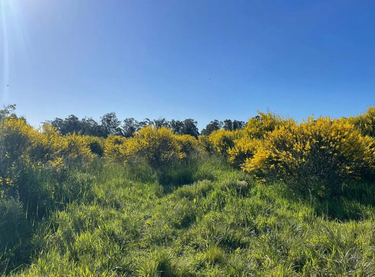 Lote de 600m2 en venta, Mar del Sud 2