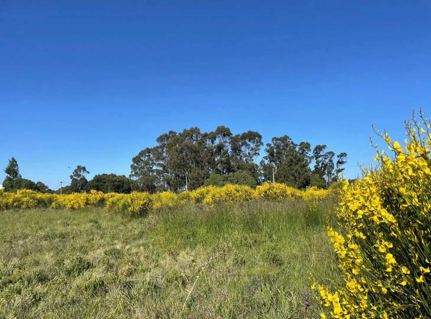 Lote de 600m2 en venta, Mar del Sud 5