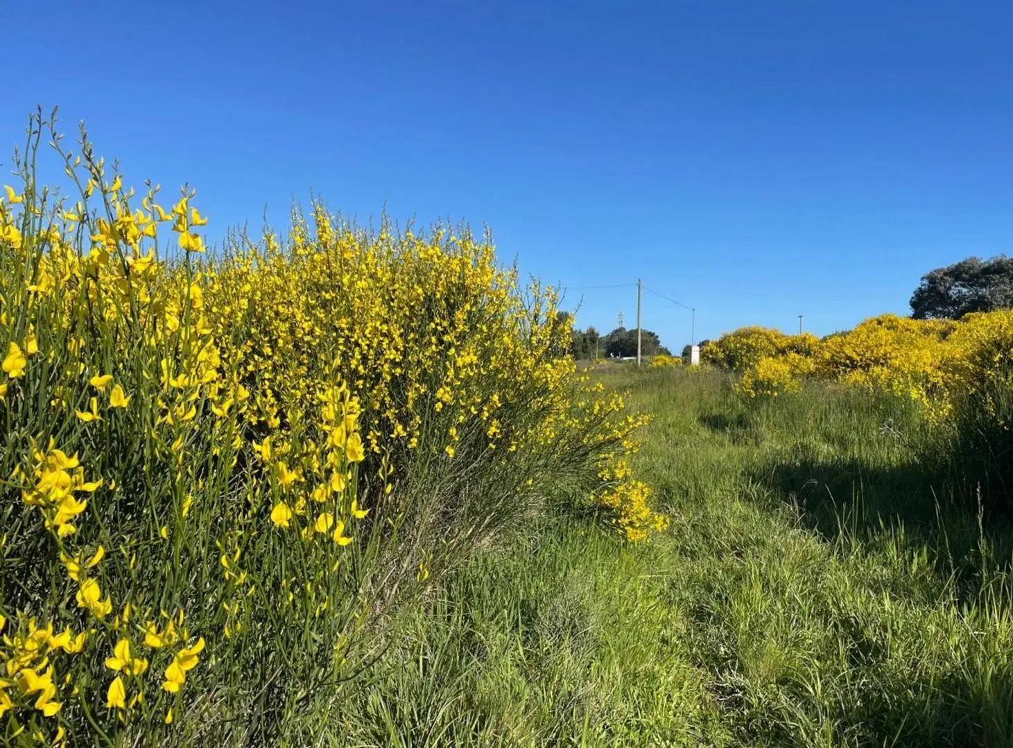 Lote de 600m2 en venta, Mar del Sud 4
