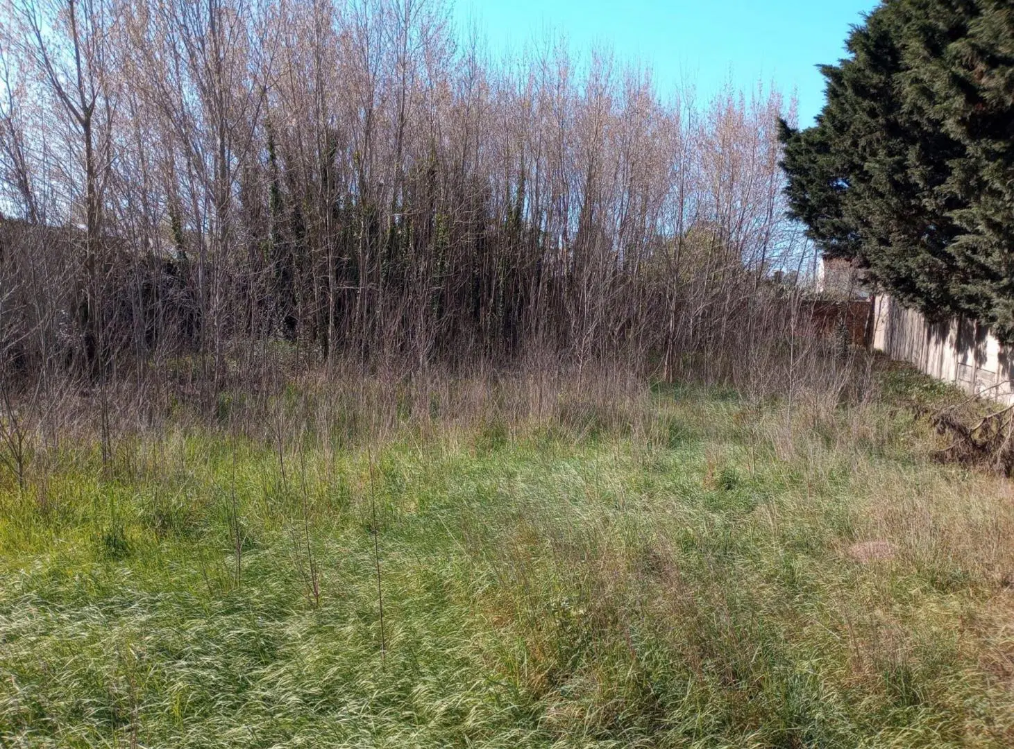 Venta de lote barrio Libertad 520 m2 5