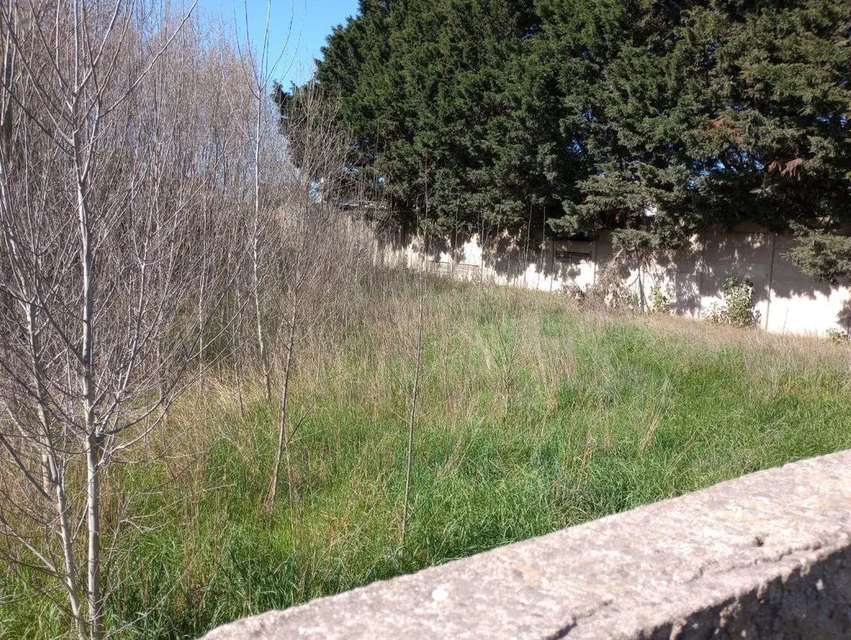 Venta de lote barrio Libertad 520 m2 5
