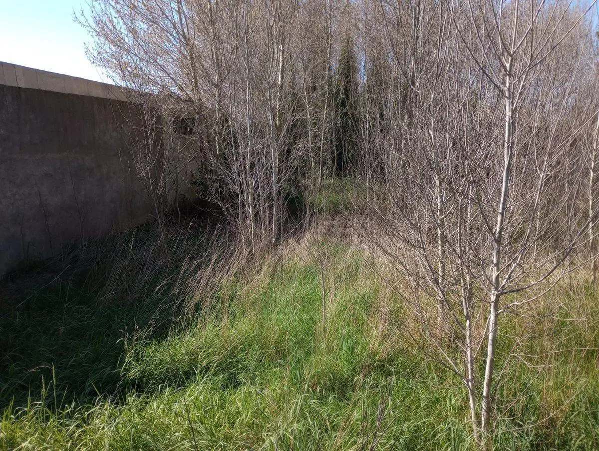 Venta de lote barrio Libertad 520 m2 2