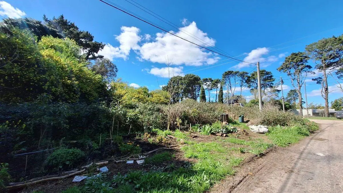 VENTA AMPLIO LOTE SIERRA DE LOS PADRES 2