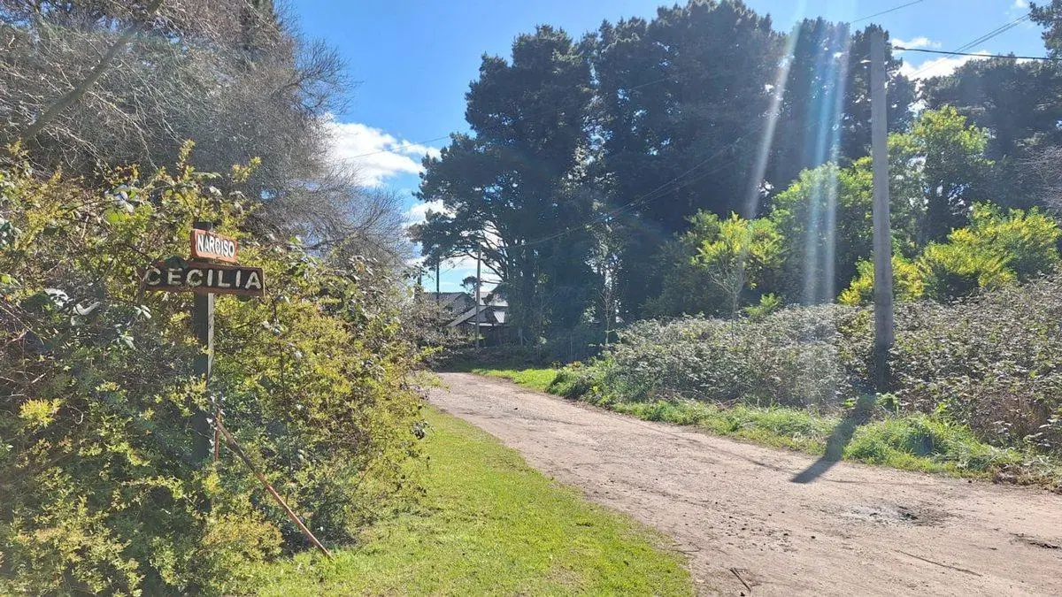 VENTA EN BLOCK DOS LOTES EN SIERRA DE LOS PADRES 3