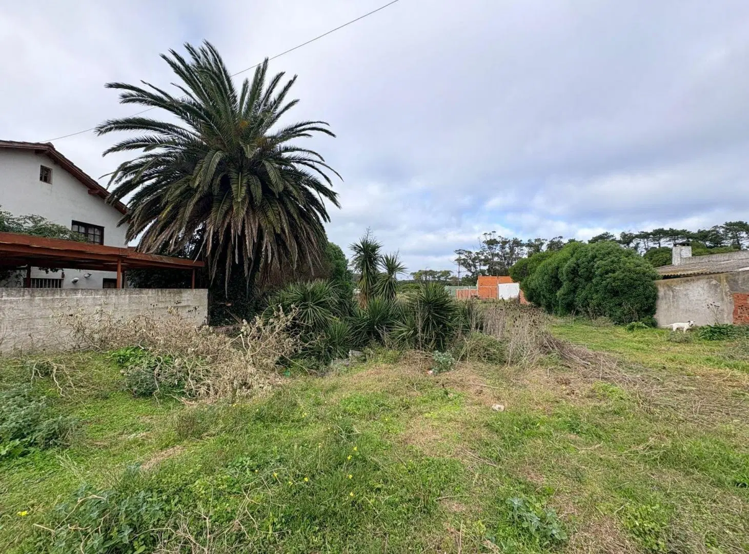 Venta Terreno Miramar 2